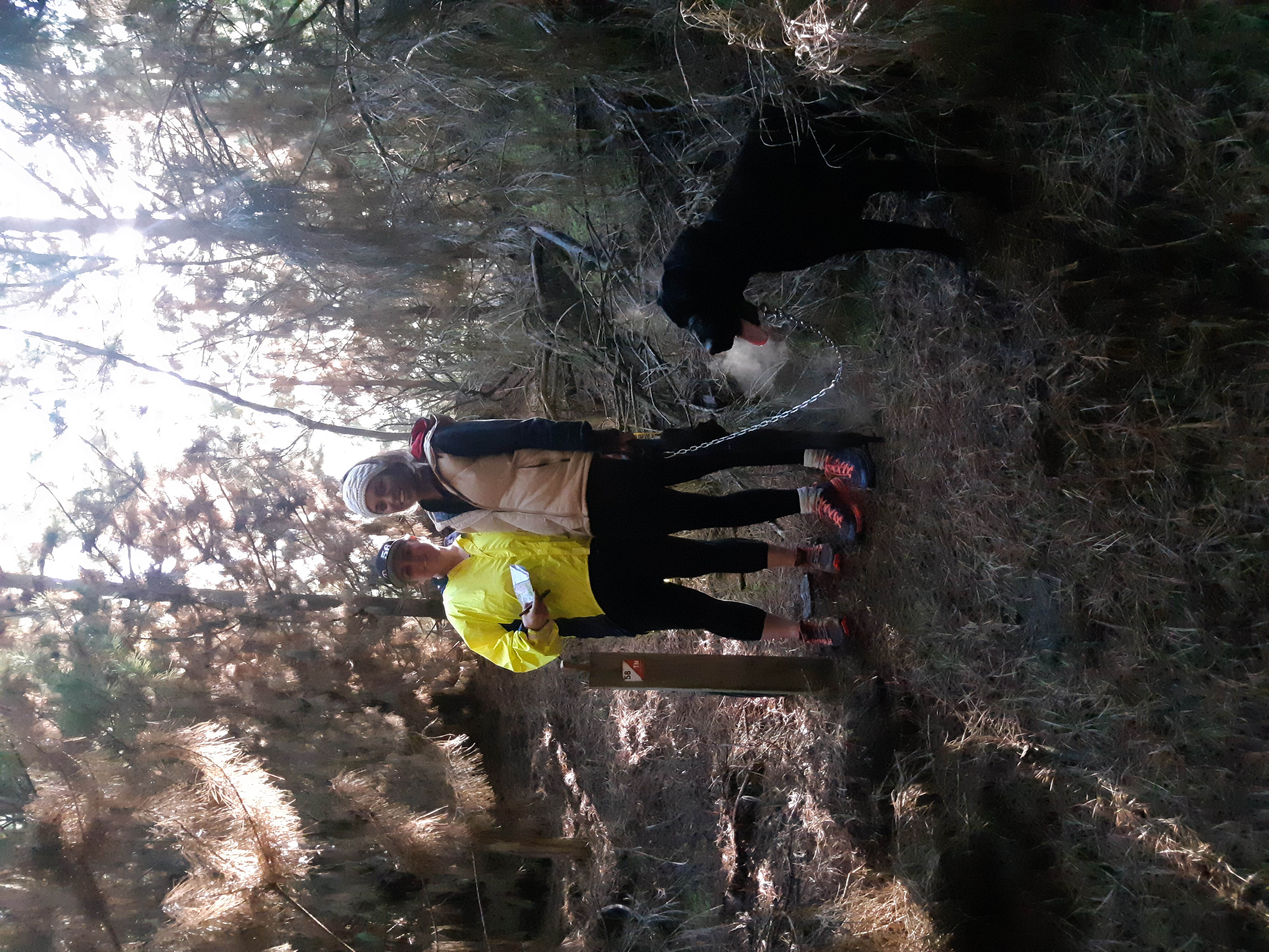 Performance Physio's Road to Spring Challenge